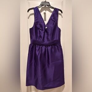 Elegant Purple Women’s Dress